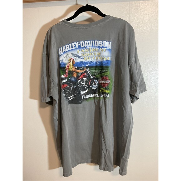 Harley Davidson Men’s XL Gray T Shirt Short Sleeve Graphic Fairbanks Alaska - Picture 8 of 10